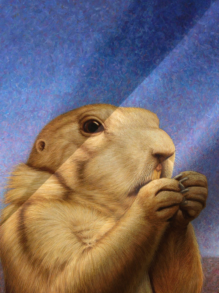 Alohadaddy® Hawaiian Casual Otter Art Print Chest Pocket Men&