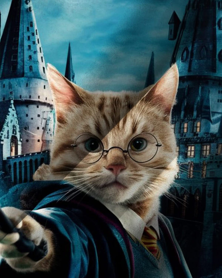 Alohadaddy® Vintage Magic Cat Harry Potter Print Art Pocket Button Men&