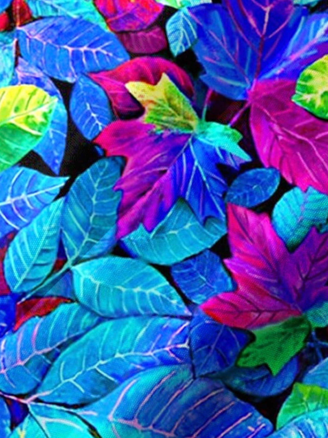 Alohadaddy® Casual Leaf Print Art Pocket Elastic Men&