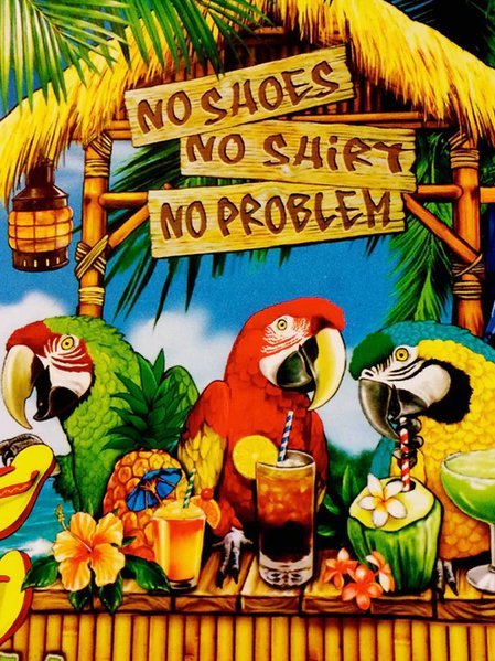 Camisas hawaianas Alohadaddy Holiday Parrot Son las 5 en punto en algún lugar Camisas hawaianas Arte de cóctel Camisas hawaianas elásticas de gran tamaño