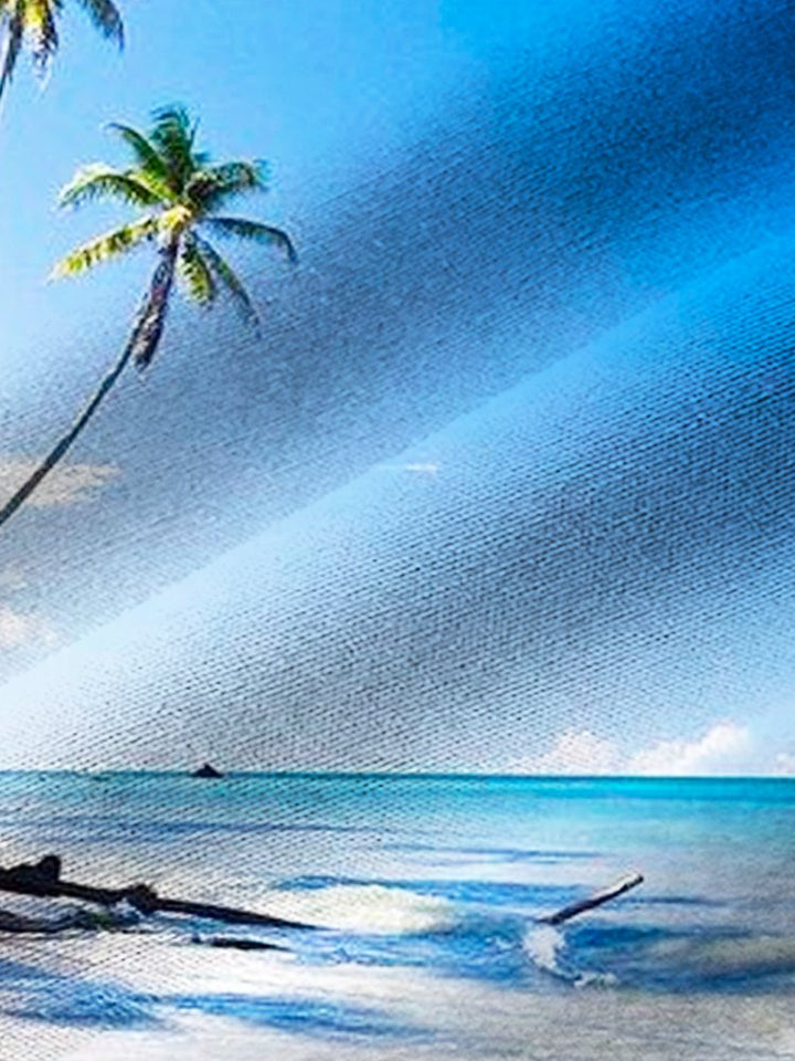 Alohadaddy Beach Coconut Palm Print Men&