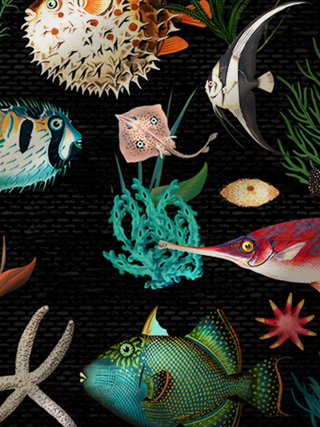 Alohadaddy Hawaii Sea Life Fish Print Men&