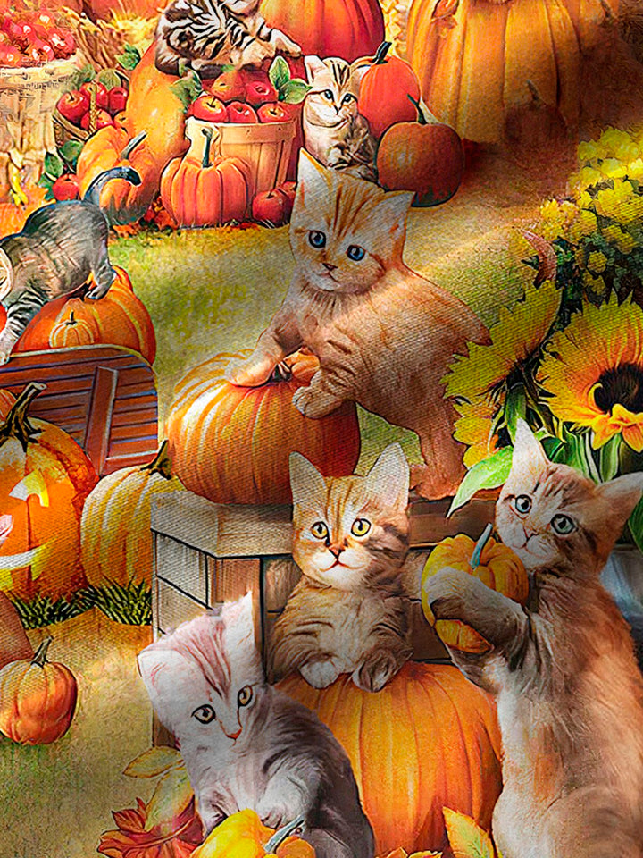 Alohadaddy Halloween Cat Pumpkin Print Men&